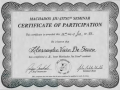 CERTIFICATE 11