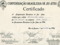 CERTIFICATE 3